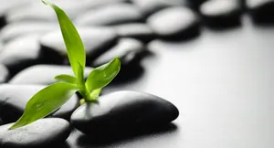 Technology Innovation Wallpaper