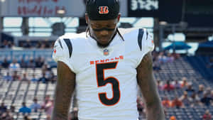 Tee Higgins Bengals Number5 Wallpaper