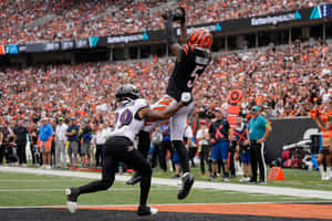 Tee Higgins Catch Against Ravens Wallpaper