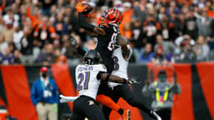 Tee Higgins Catching Football Against Ravens Defense Wallpaper