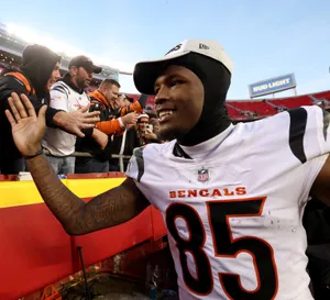 Tee Higgins Celebratingwith Fans Wallpaper