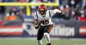 Tee Higgins In Action Cincinnati Bengals Wallpaper