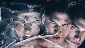 Teen Wolf Scott's Wolf Transformation Wallpaper