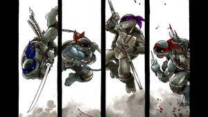 Teenage Mutant Ninja Turtles Donatello And Raphael Wallpaper