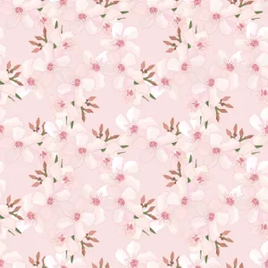 Tender Pink Cherry Blossoms Wallpaper