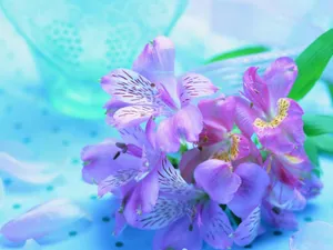 Tender Violet Lilies Wallpaper