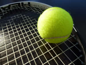 Tennis Ball Perfect For A Sunny Day Of Tennis Wallpaper