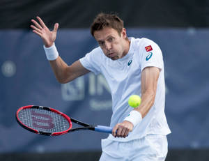 Tennis Pro Daniel Nestor Performing A Quick Stroke Wallpaper