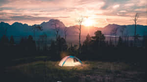 Tent By The Trees Camping Desktop Wallpaper