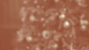 Terracotta Texture Close Up Wallpaper