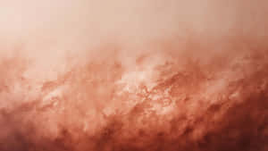 Terracotta Texture Close Up Wallpaper