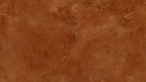 Terracotta Texture Surface Wallpaper