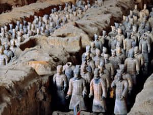 Terracotta Warriors Funeral Art Museum Wallpaper