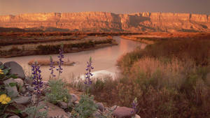 Texas Big Bend National Park Wallpaper