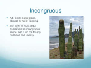 Text Graphics About Incongruous Definition Wallpaper