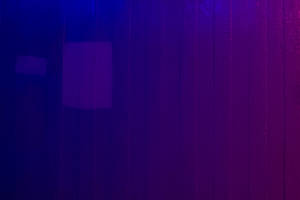 Textured Blue & Violet Wood Wallpaper