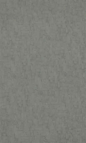Textured Gray Wall Paint Background Wallpaper