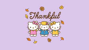 Thankful Hello Kittyand Friends Wallpaper