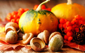 Thanksgiving Day Pumpkins And Acorns Wallpaper