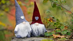 Thanksgiving Gnome Couple Wallpaper