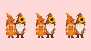 Thanksgiving Gnome Decorations Wallpaper