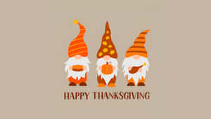 Thanksgiving Gnome Trio Wallpaper
