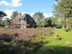 Thatched Roof Cottage Kampen Wallpaper