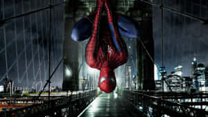 The Amazing Spider Man Hd Wallpaper Wallpaper