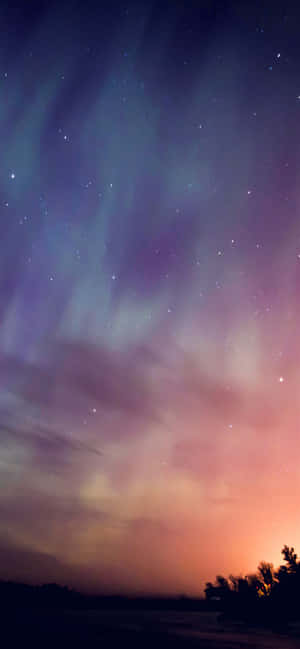 The Aurora Bore Is In The Sky Wallpaper