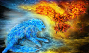 The Beauty Of A Fire And Ice Wolf Wallpaper