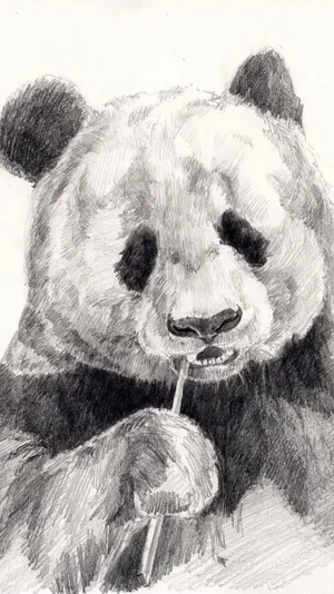 The Beauty Of An Evening Sunset Wallpaper