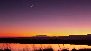 The Beauty Of Dark Nature Wallpaper