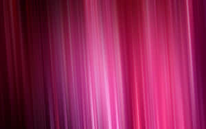 The Beauty Of Dark Pink Wallpaper