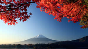 The Beauty Of Fujisan In Japan Wallpaper