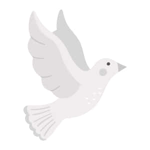 The Beauty Of Nature: A Dove Showing Its Wings