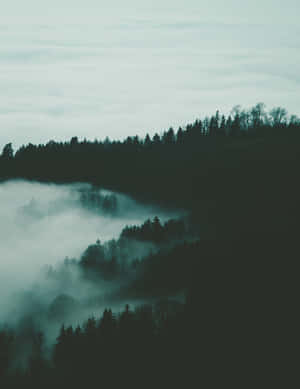 The Beauty Of Nature- A Foggy Landscape Displaying A Peaceful Ambience. Wallpaper