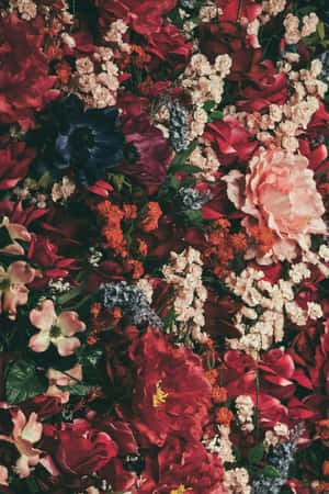 'the Beauty Of Nature: Aesthetic Floral' Wallpaper