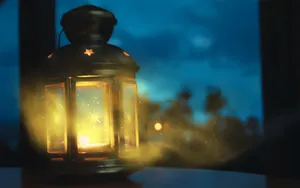 The Beauty Of Nature Captured Perfectly In This Firefly Hd Wallpaper Wallpaper