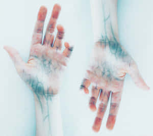 The Beauty Of Our Blue Veins Wallpaper