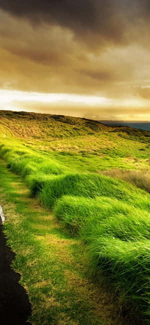 The Beauty Of Retina Display. Wallpaper