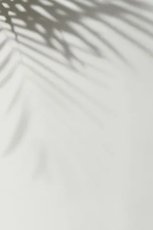 The Beauty Of Serenity And Simplicity Wallpaper