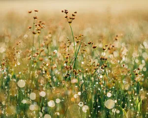 The Beauty Of The Night Sky Wallpaper