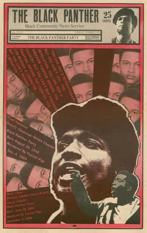 The Black Panther Party For Self Defense, 1966 Wallpaper