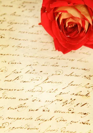 The Blue Ridge Mountains Of North Carolina Wallpaper