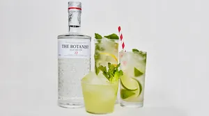 The Botanist Islay Dry Gin With Leaves And Lime Wallpaper