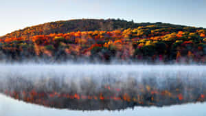 The Colors Of Autumn In The Beautiful Landscape Of New England Wallpaper