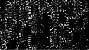 The Creepy Forest Night Wallpaper