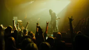 The Dandy Warhols Live Performance Wallpaper
