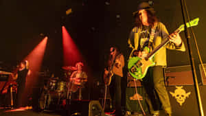 The Dandy Warhols Live Performance Wallpaper
