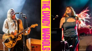 The Dandy Warhols Live Performance Wallpaper